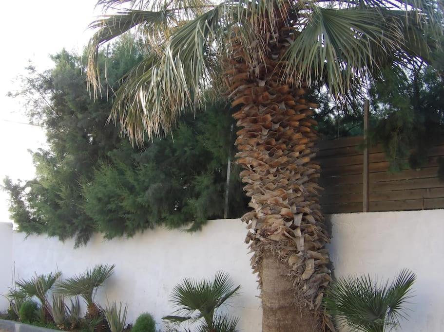 Teo 1 Apartment Gouves Bagian luar foto