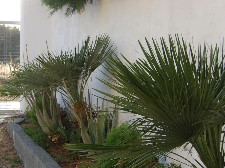 Teo 1 Apartment Gouves Bagian luar foto